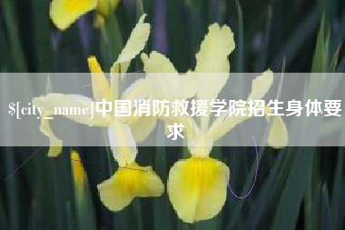 澄迈中国消防救援学院招生身体要求