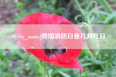 澄迈我国消防日是几月几日