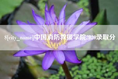 澄迈中国消防救援学院2020录取分