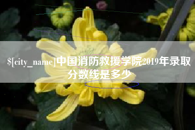 澄迈中国消防救援学院2019年录取分数线是多少