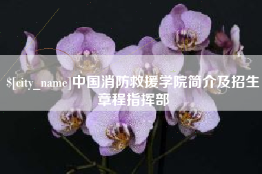 澄迈中国消防救援学院简介及招生章程指挥部