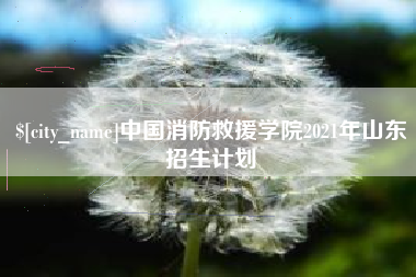 澄迈中国消防救援学院2021年山东招生计划
