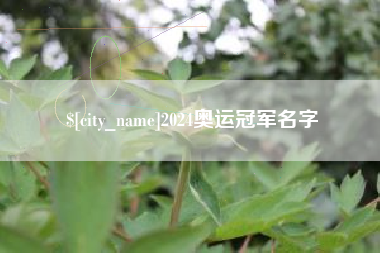 澄迈2024奥运冠军名字