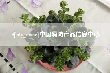 澄迈中国消防产品信息中心