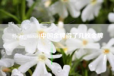 澄迈中国金牌得了几枚金牌