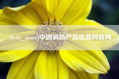 澄迈中国消防产品信息网官网
