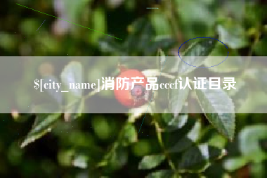 澄迈消防产品cccf认证目录