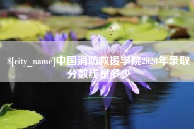 澄迈中国消防救援学院2020年录取分数线是多少
