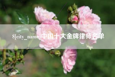 澄迈中国十大金牌律师名单