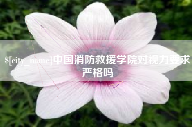 澄迈中国消防救援学院对视力要求严格吗