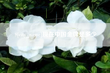 澄迈现在中国金牌是多少