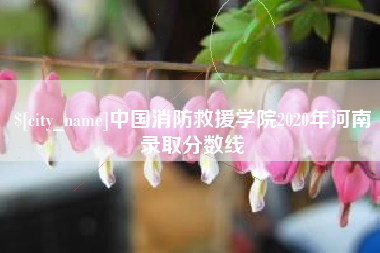 澄迈中国消防救援学院2020年河南录取分数线