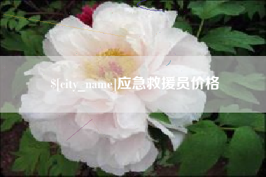 澄迈应急救援员价格