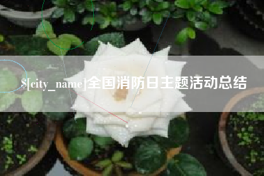 澄迈全国消防日主题活动总结