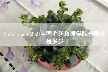澄迈2021中国消防救援学院分数线是多少