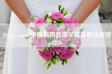 澄迈中国消防救援学院录取分数线2020