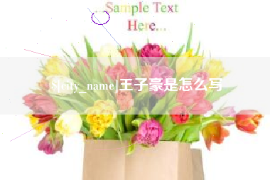 澄迈王子豪是怎么写
