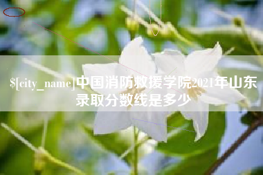 澄迈中国消防救援学院2021年山东录取分数线是多少