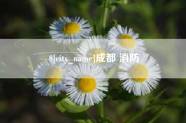 澄迈成都 消防
