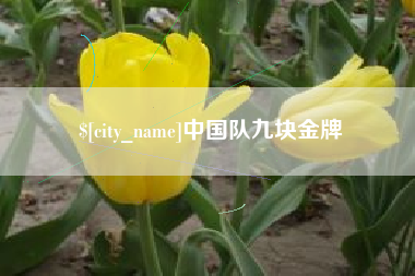 澄迈中国队九块金牌