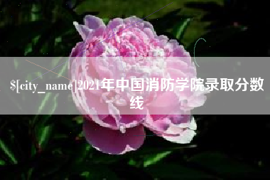 澄迈2021年中国消防学院录取分数线