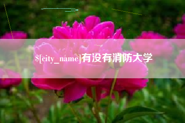 澄迈有没有消防大学