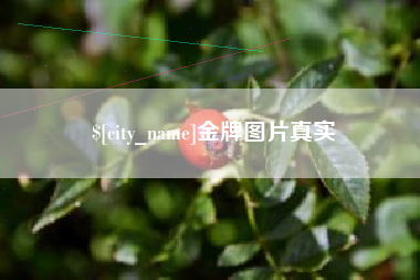 澄迈金牌图片真实