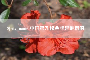 澄迈中国第九枚金牌是谁得的