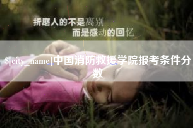 澄迈中国消防救援学院报考条件分数