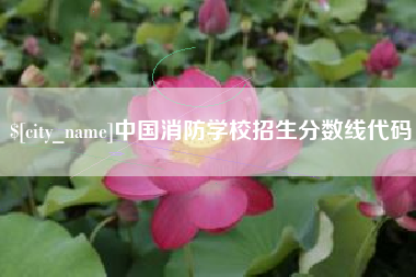 澄迈中国消防学校招生分数线代码