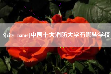 澄迈中国十大消防大学有哪些学校