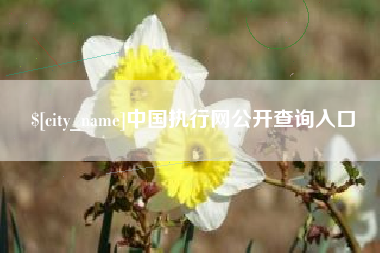 澄迈中国执行网公开查询入口