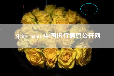 澄迈中国执行信息公开网