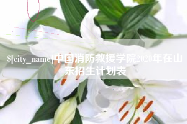 澄迈中国消防救援学院2020年在山东招生计划表