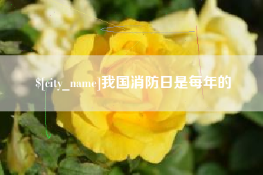 澄迈我国消防日是每年的