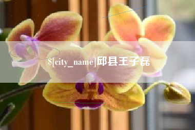 澄迈邱县王子磊
