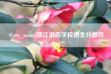 澄迈浙江消防学校招生分数线