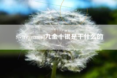 澄迈九金十银是干什么的