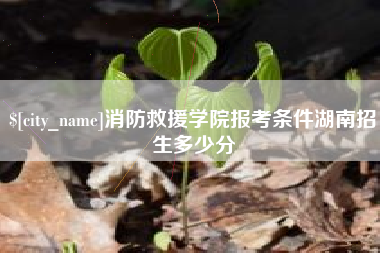 澄迈消防救援学院报考条件湖南招生多少分