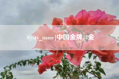 澄迈中国金牌18金