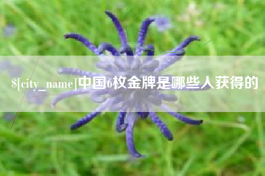 澄迈中国6枚金牌是哪些人获得的