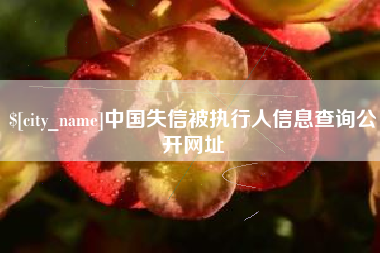 澄迈中国失信被执行人信息查询公开网址