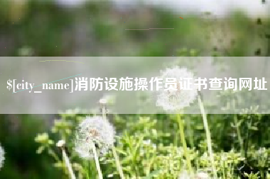 澄迈消防设施操作员证书查询网址