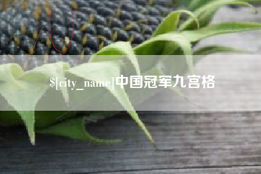 澄迈中国冠军九宫格