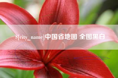 澄迈中国省地图 全图黑白