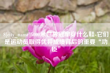 澄迈5000米世界冠军穿什么鞋-它们是运动员取得优异成绩背后的重要“功臣”