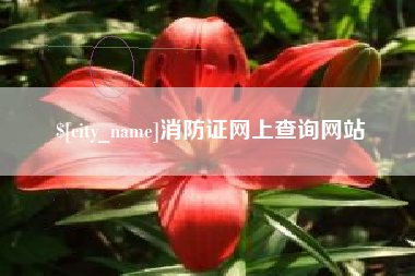 澄迈消防证网上查询网站