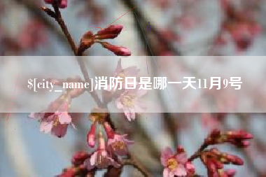 澄迈消防日是哪一天11月9号
