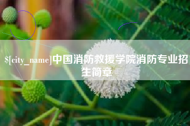 澄迈中国消防救援学院消防专业招生简章