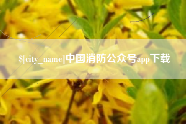 澄迈中国消防公众号app下载